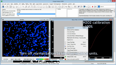 H2O2 assay using normalized DCFDA rates