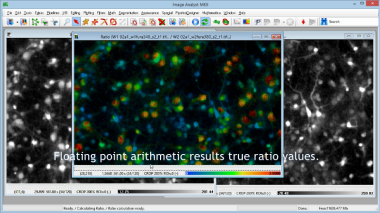 Fluorescence ratio measurment