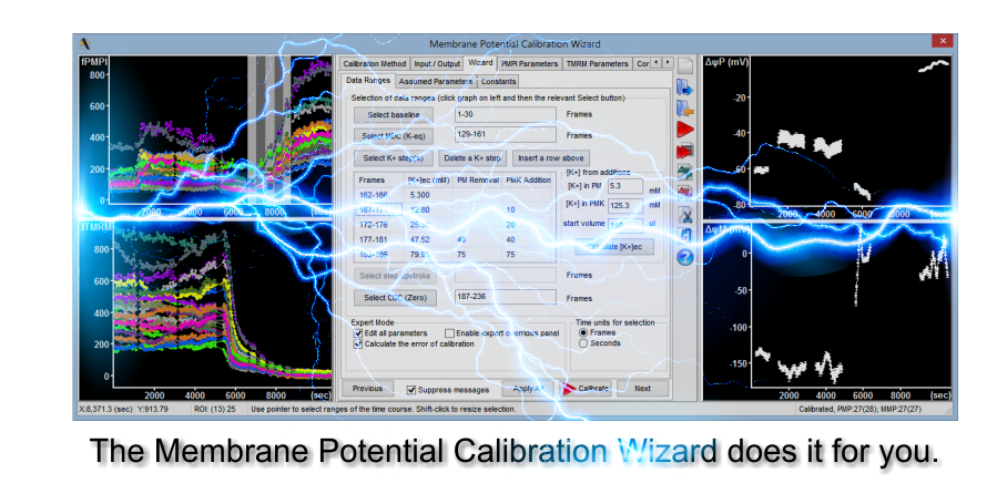 Mitochondrial membrane potential assay