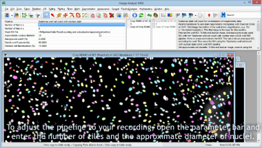 Whole well cell counting