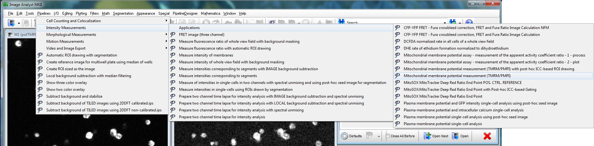 Pre-configured pipelines in Image Analyst MKII