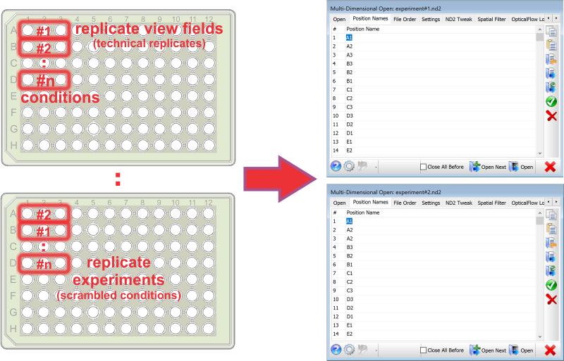 Organize technical and experimental or biological replicates Rename conditions