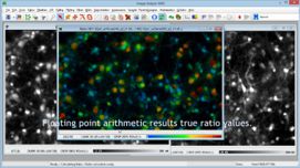 Fluorescence microscopy and mitochndrial assays