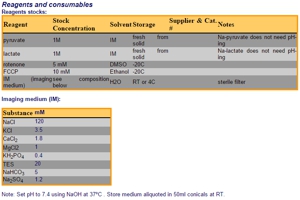 Image Analyst MKII Protocols