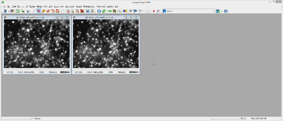 Image Analyst MKII - Automated Image Analysis