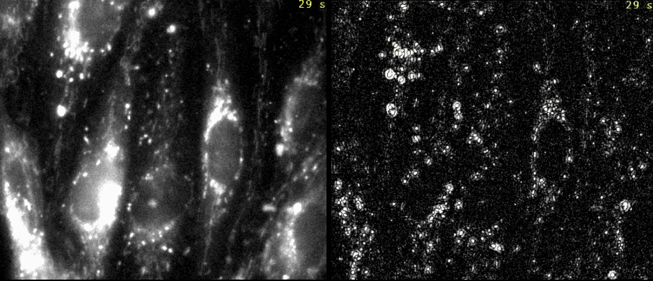 Image Analyst MKII - High Pass Filtering